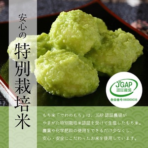 でわのもち　丸もち60個(12個入×5パック) AG SB0751