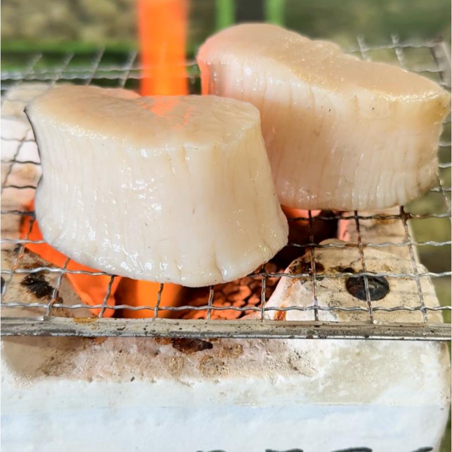 ＜岬水産＞「平貝」むき身（２個）＆ヒモ小柱200gx2袋