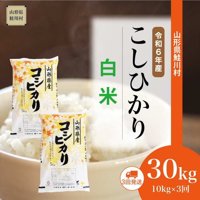 ＜令和6年産米 配送時期指定できます！＞　コシヒカリ【白米】30kg定期便 (10kg×3回)　鮭川村