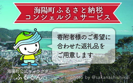 
海陽町ふるさと納税コンシェルジュサービス＜寄附金額100万円コース＞
