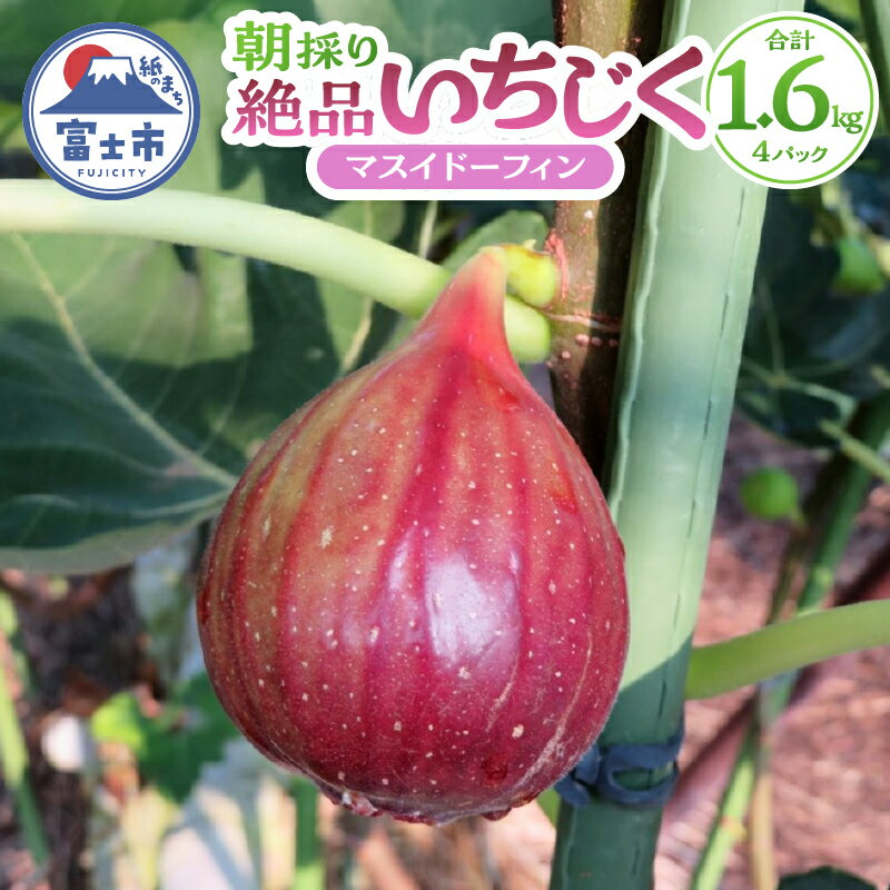 【ふるさと納税】a1212 朝採り絶品いちじく（マスイドーフィン4パック）お取り寄せ　限定　ご当地