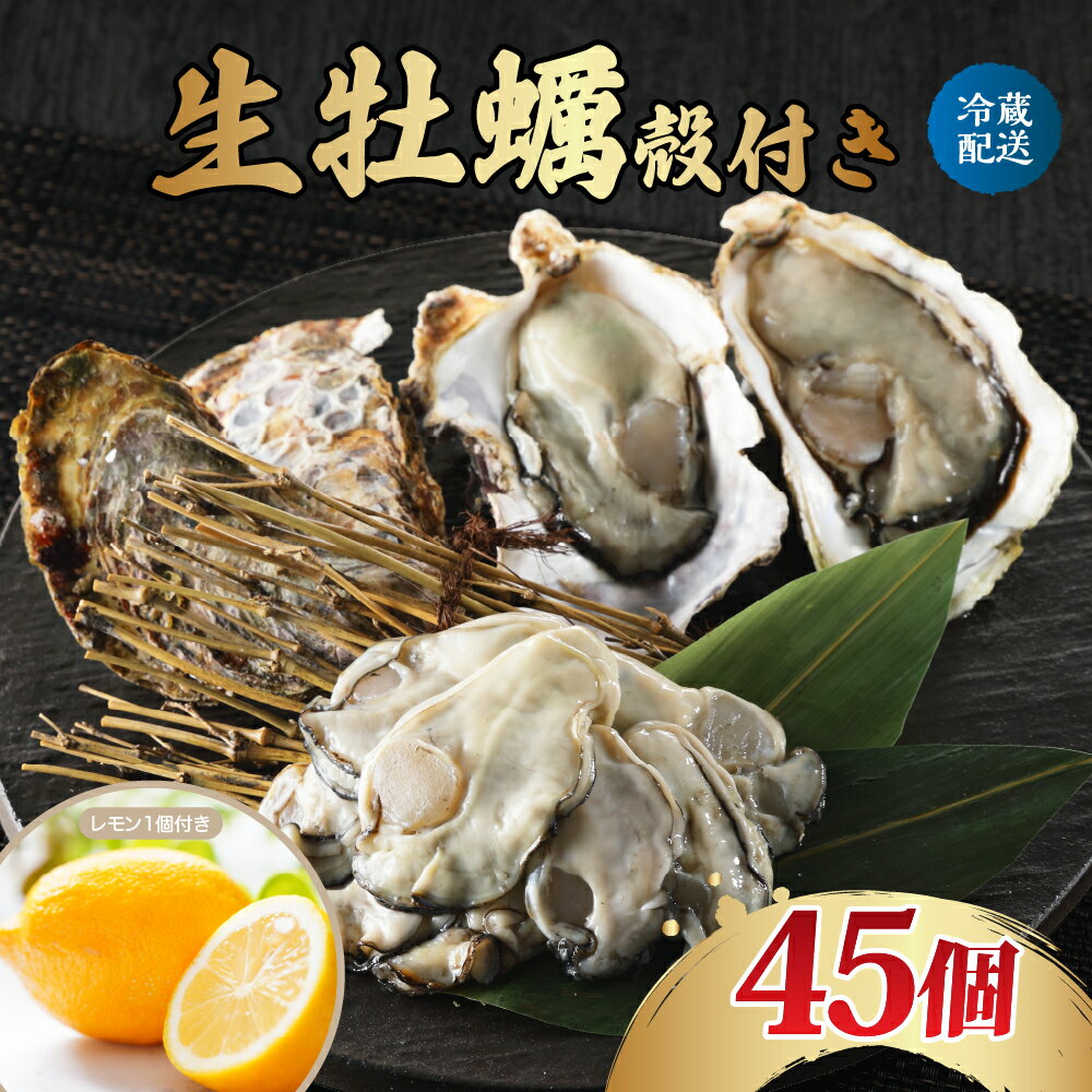 【ふるさと納税】 先行予約 生牡蠣 殻付き 45個 ナバラ水産 配送時期が選べる 生食可能 生食用 冷蔵便 国産 広島 音戸産 牡蠣 カキ 旨味 濃厚 新鮮 海鮮 魚介 美味しい 焼き牡蠣 蒸し牡蠣 冬 旬 送料無料 お取り寄せ 産地直送 先行受付 広島かき 広島県 呉市