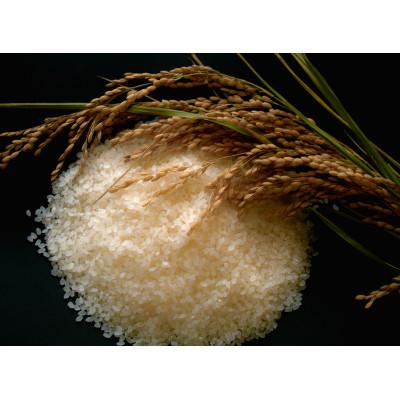 ふるさと納税 北上市 ＜令和7年産＞岩手県北上市産ひとめぼれ(精米) 4kg(2kg×2袋) |  | 01
