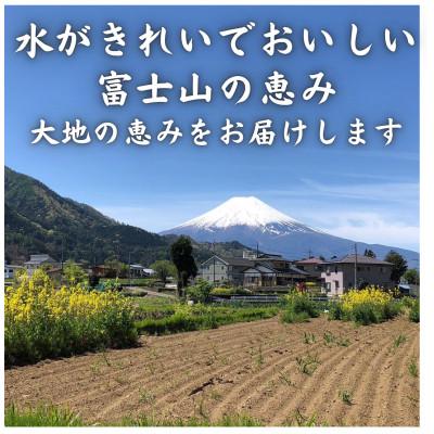 ふるさと納税 西桂町 【発送月固定定期便】新鮮野菜!農家厳選の旬のお野菜セット約5〜8種類を約3kg〜5kg全2回 |  | 02