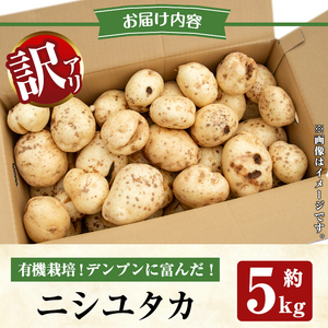 ≪訳あり≫湧水町産有機じゃがいも ニシユタカ 約5kg 国産 九州産 鹿児島産 有機野菜 有機栽培 じゃがいも ジャガイモ にしゆたか 野菜 やさい おかず 旬 わけあり 訳アリ 規格外 期間限定 数