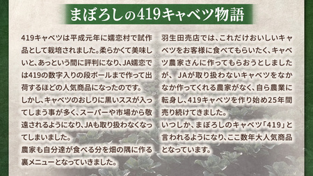 【7月中旬発送開始】訳あり 《 3か月 定期便 》まぼろしの419キャベツ 2玉 3カ月 先行予約 [AL015tu]