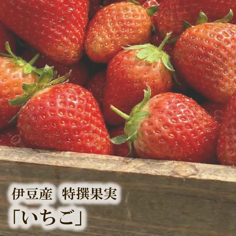  いちごジャム3瓶セット いちごジャム 化粧箱入 苺