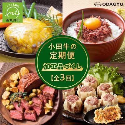 ふるさと納税 南九州市 【毎月定期便】「小田牛」定期便〜加工品づくし〜全3回