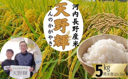 
                  【2026年11月以降発送】令和8年産 新米 にこまる 天野輝5kg （精米後約4.5kg） てんのかがやき 献上米 大阪府 河内長野市産 白米 甘み 粘り ブランド米 こめ コメ 子ども 食育 減農薬 安心 安全 新米 河内長野市米 eco米 食味 白米 ごはん 銘柄米 ブランド 単一米 米 お米 米10㎏
                