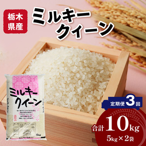 【定期便3回】 栃木県産ミルキークイーン 10kg | 米 おすすめ 米 rice 精米 白米 ご飯 もちもち 国産 送料無料 ふるさと納税  栃木県共通返礼品