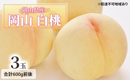 桃 2026年 先行予約 白桃 3玉入り 合計600g前後 岡山県産もも モモ 岡山県産 国産 フルーツ 果物 ギフト デザート 芳醇な香り 岡山の桃 