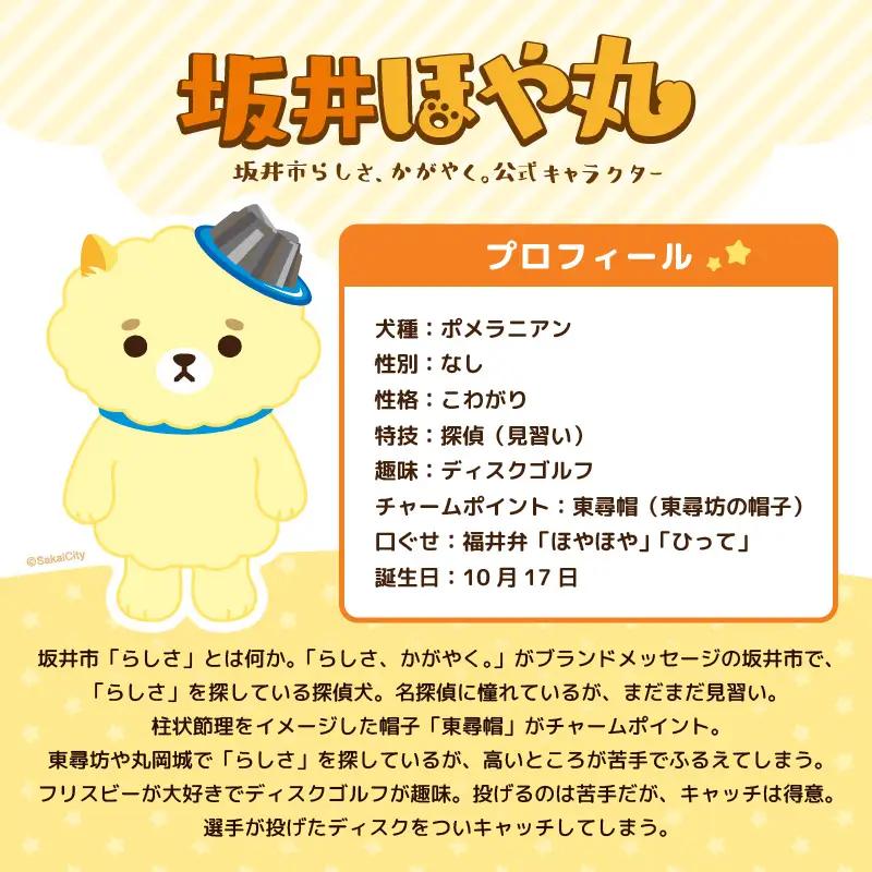 坂井市公式キャラクター「坂井ほや丸」でかほやぬい (ぬいぐるみ30cm) ＆ 限定アクリルキーホルダー  [A-20607]
