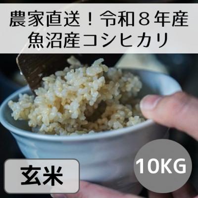 ふるさと納税 十日町市 【先行予約・令和8年産】新潟県魚沼産コシヒカリ「山清水米」玄米10kg