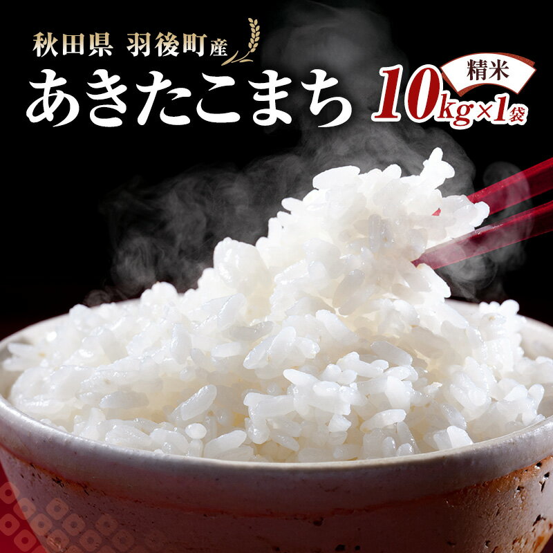 【ふるさと納税】秋田県 羽後町産 あきたこまち 精米 10kg（10kg×1袋）【 米 お米 白米 精米 アキタコマチ 美味しい 秋田 羽後 】