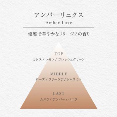 ふるさと納税 三宅町 バーグ 100 リード ディフューザー アンバーリュクス 晴香堂 ルーム フレグランス |  | 02