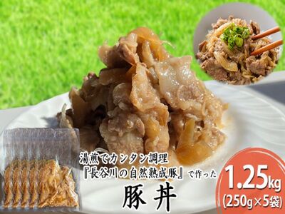 豚丼 長谷川の自然熟成豚 レトルト 簡単調理 豚丼【1.25kg 250g×5袋】