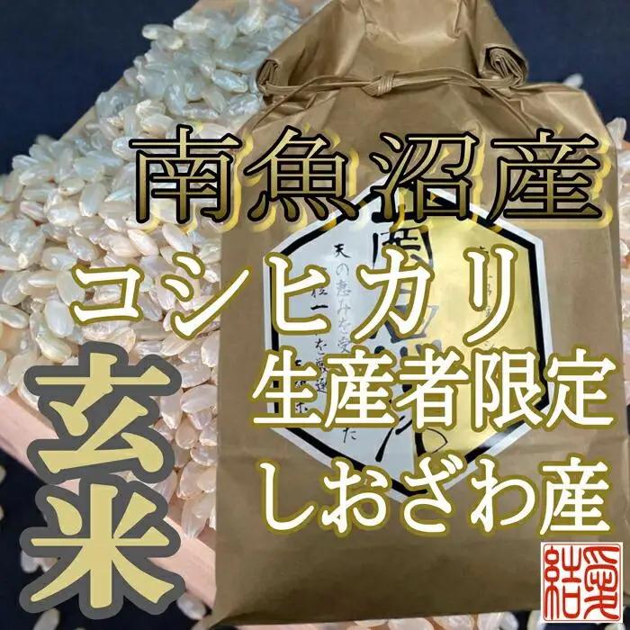 【令和7年産】【定期便】玄米 南魚沼しおざわ産コシヒカリ10Kg×12ヶ月【定期便 銘柄米 ブランド米 玄米 こしひかり コシヒカリ 魚沼産 新潟米 産地直送 お米 米 こめ コメ ご飯 御飯 ごはん】