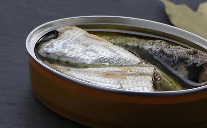 銚子産　オイルサーディン　10缶　缶詰 イワシ いわし 常温保存 防災 備蓄 非常食 保存食 国産 キャンプ パスタ カナッペ サラダ 炒め物 千葉県 千葉市