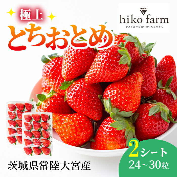 【ふるさと納税】【期間限定】いちごのおくりもの（極上とちおとめ）2シート（24〜30粒） いちご イチゴ 苺 とちおとめ フルーツ 果物 くだもの デザート 期間限定 【hiko farm（ヒコファーム）】【ho1570】