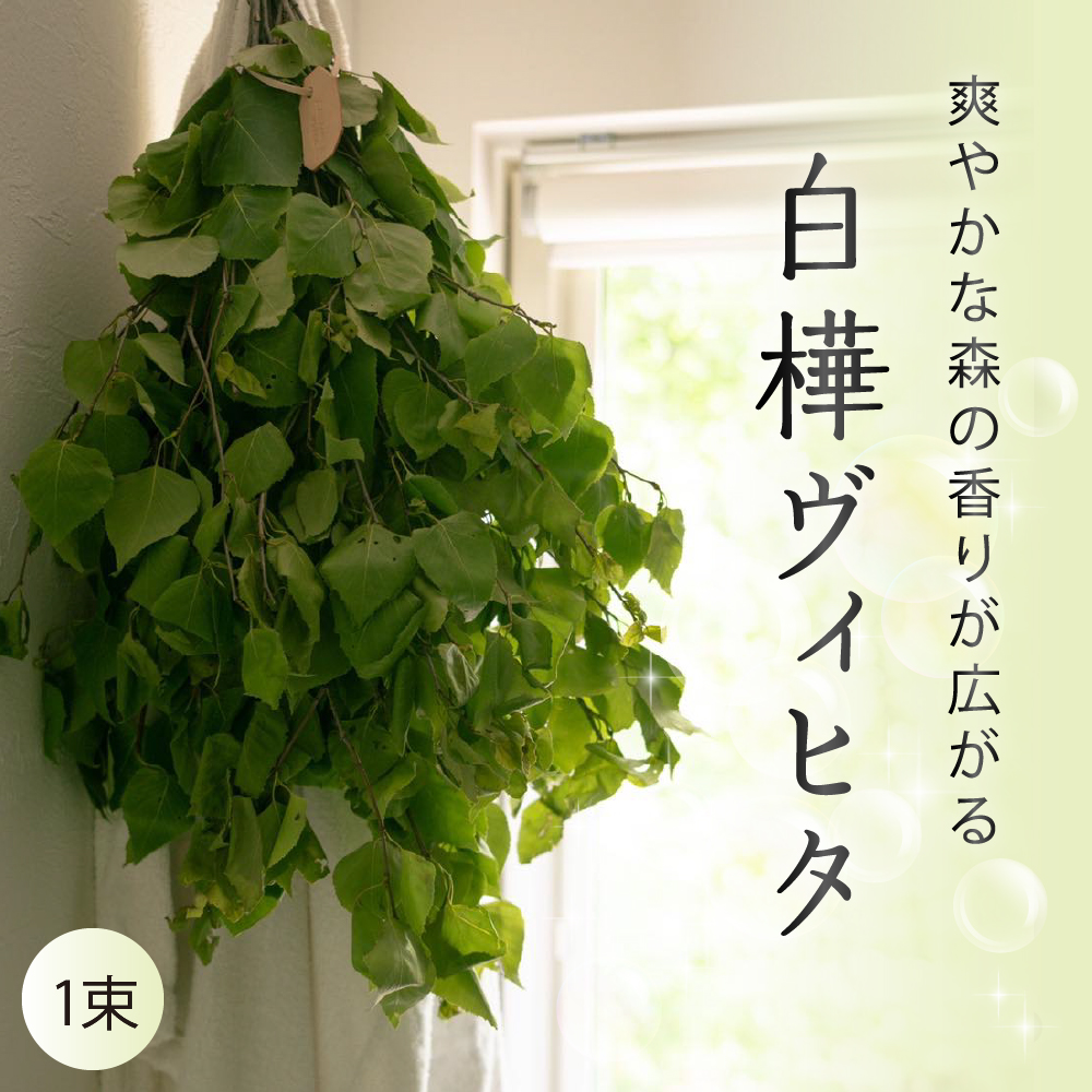 北海道芽室町産「白樺ヴィヒタ」１束　me055-001c-3