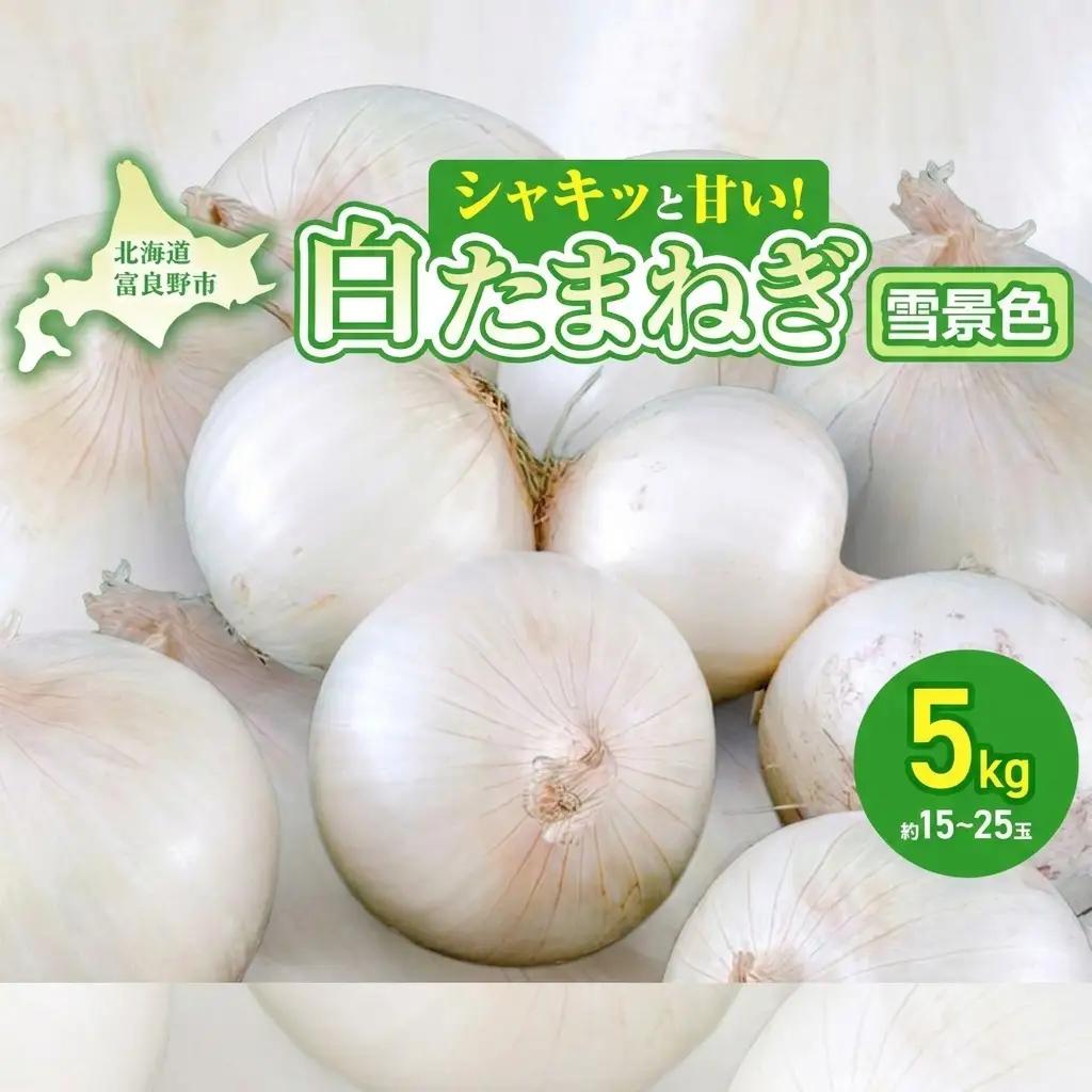 玉ねぎ 富良野産 白玉ねぎ 雪景色II 玉ねぎ【約5kg 約15〜25玉】