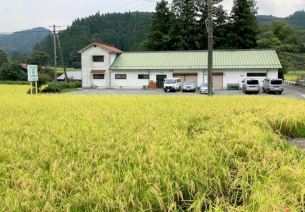 きねつきもち48個(6個入×8パック) 釜炒りきな粉200g×2袋