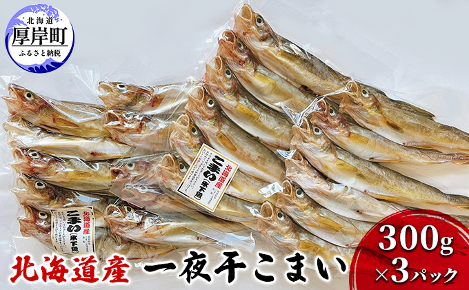 
北海道産 一夜干し こまい 300g×3パック (合計900g)[№5863-0925]
