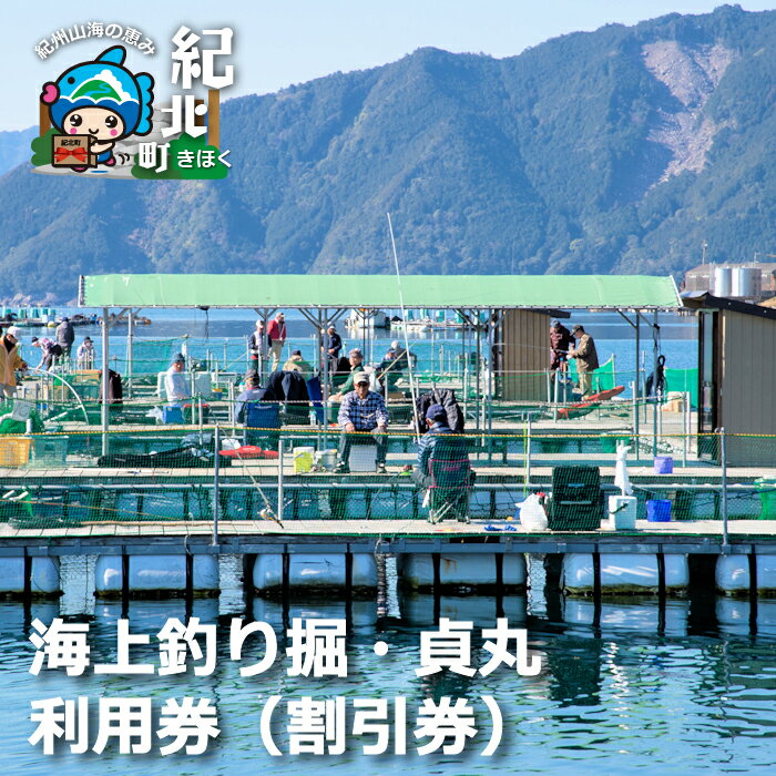 【ふるさと納税】【A19】海上釣り掘・貞丸 利用券（割引券）