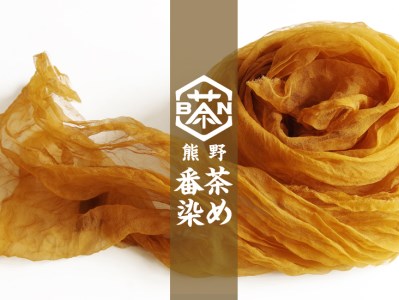 熊野番茶染め　Ｔシャツ　金茶色（チタン媒染）（Sサイズ）