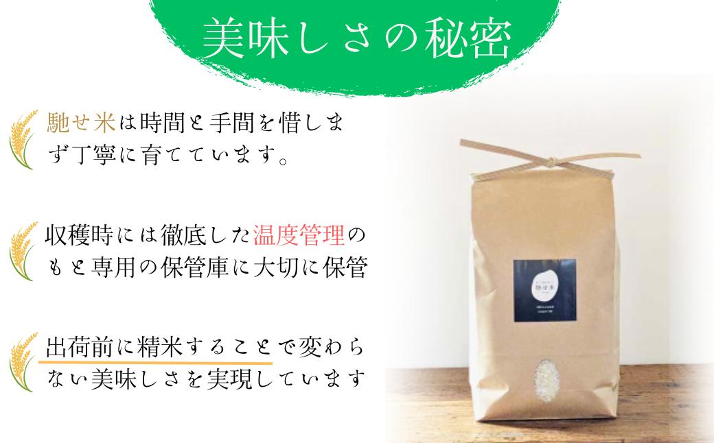 米 【令和7年産新米】石田さんのお米 馳せ米 10kg 米 コメ こめ 精米 セイマイ せいまい 石田さんのお米 おコメ 馳せ米
