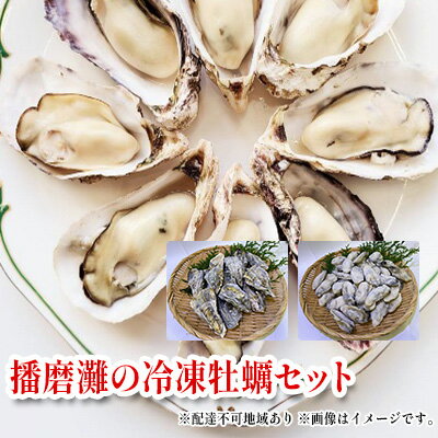 【ふるさと納税】牡蠣 ぷりぷり濃厚！ 播磨灘の冷凍牡蠣 セット 加熱用 殻付かき 12個 むき身かき 50粒前後 魚介 魚介類 海鮮 貝類 生牡蠣 かき　 海の幸