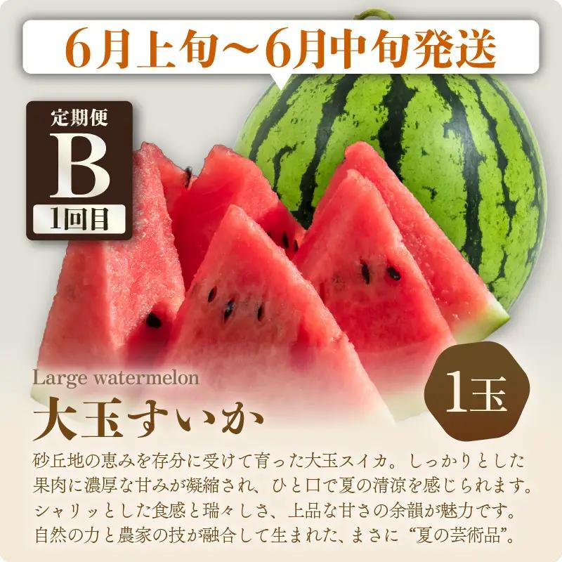 【先行予約】【定期便 3回コース】 坂井市フルーツ三昧！！「極」 B 【2027年7月上旬以降順次発送開始予定】定期便 くだもの 果物 [F-3202]