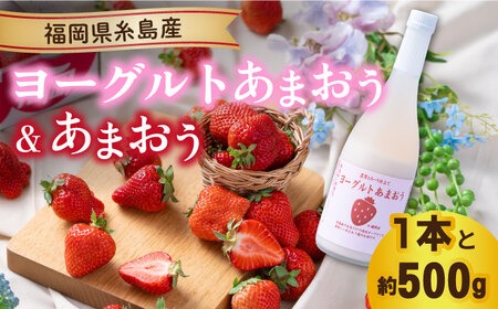 【先行予約】【春】ヨーグルトあまおう720ml ×あまおう 約250g×2パック【2026年2月上旬以降順次発送】 糸島市 / 南国フルーツ株式会社 [AIK015]