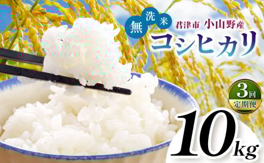 【 定期便 3回 】 無洗米 令和7年産 君津市小山野産 コシヒカリ 10kg 3回 | あかかげ農園 千葉稲作 こしひかり 千葉県産 むせんまい 米 コメ こめ お米 千葉県 君津市 きみつ