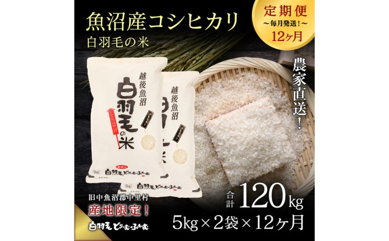 【通年受付】≪令和6年産　≫【定期便／全12回】農家直送！魚沼産コシヒカリ「白羽毛の米」精米(5kg×2袋)×12回 120kg