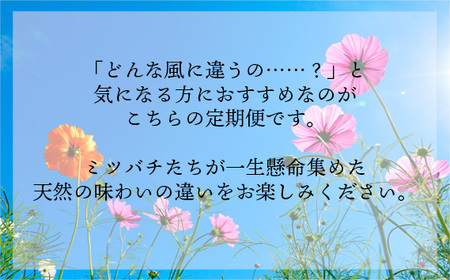 No.122 国産完熟生はちみつ 百花蜜（非加熱蜂蜜）春のはちみつ・秋のはちみつ食べ比べ 130gが2回届く定期便