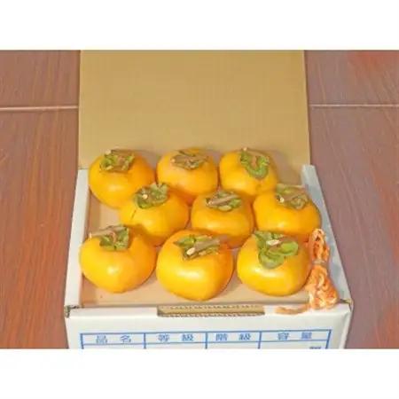 吊るし柿用 生渋柿 ひもセット【 T字軸枝付 or吊るしクリップ付】約9~12果1.5~2kg【1293792】
