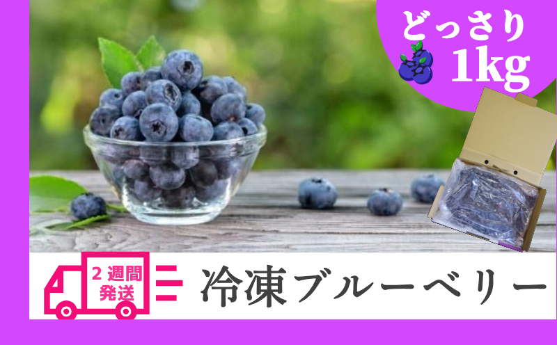 訳あり ブルーベリー 冷凍 2週間発送 1kg 産地直送 フルーツ ブルーベリー 新鮮 人気 果物 おすすめ フルーツ 四国 徳島 小松島 【送料無料】 産地 直送 新鮮 夏 アイス シャーベット ソフトクリーム ジュース スムージー ヨーグルト 朝食 旬 ふるさと納税ブルーベリー ふるさとブルーベリー 美容 ダイエット 美肌 ビタミン ポリフェノール アサイー と一緒に 忙しい 朝 に おすすめ