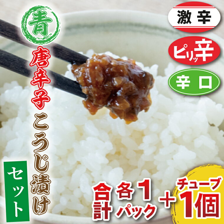 【ふるさと納税】青唐辛子こうじ漬けセット　パック3個［ピリ辛1個・辛口1個・激辛1個］チューブ1個(AK004-1)