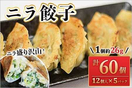 【数量限定！】ニラ餃子(12ヶ入×5パック)