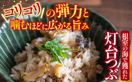 根室海鮮市場＜直送＞【北海道根室産】生食用灯台つぶ(ボイル済)250g×2P(計500g) G-28040