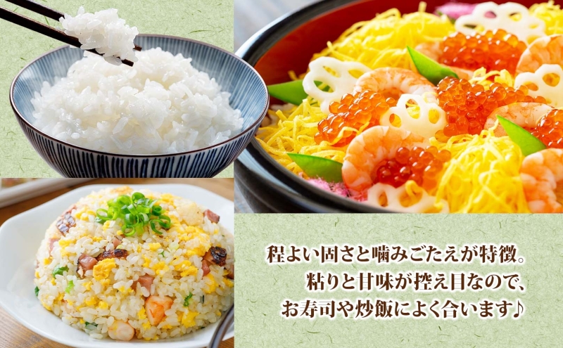 【ふるさと納税】北海道 定期便 6ヵ月連続 全6回 R7年産 北海道産 ななつぼし5kg 精米 米 白米 ごはん お米 新米 特A 獲得 北海道米 ブランド米 道産 ご飯 お取り寄せ 半年 食味ランキ