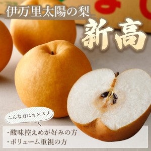 【令和6年産先行予約】伊万里梨「新高」 10kg (約5kg×2箱)  B166