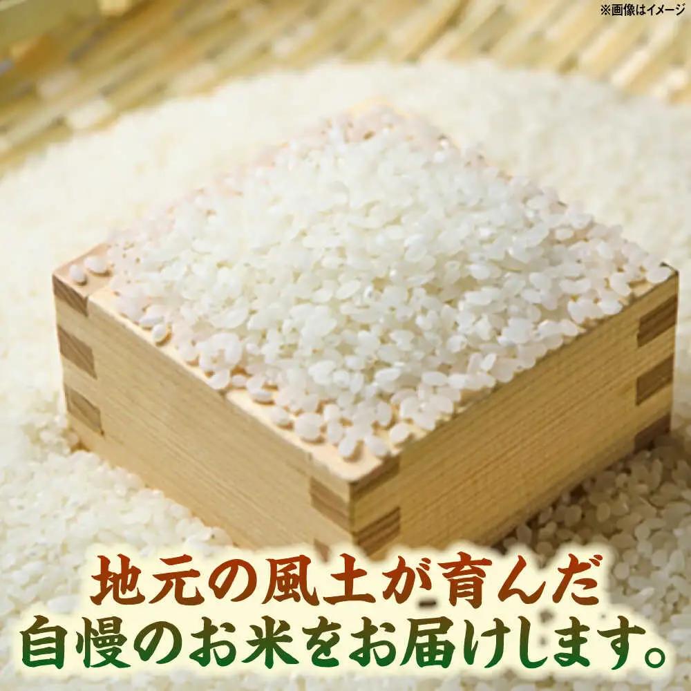 令和7年産米 夢しずく 5kg /株式会社 y's company（utsu和ya）[UDX019] 夢しずく