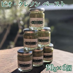 ビオクレソンペースト (90g×6個)　※離島への配送不可 DSL004