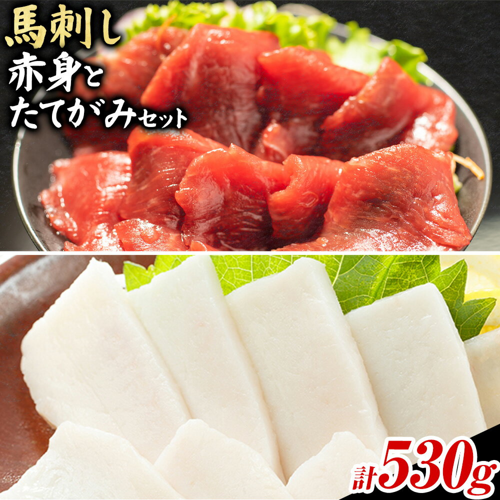 【ふるさと納税】馬肉 馬刺し 赤身 たてがみ セット 530g 高椋畜産《30日以内に出荷予定(土日祝除く)》熊本県 南関町 馬肉 馬刺し
