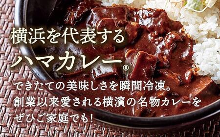 サンアロハ「ハマカレーR　ビーフ　230g×4個パック」 AJE0002