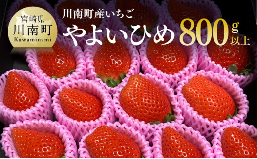 【令和８年発送】宮崎県産いちご（川南町産）　「やよいひめ」計800ｇ 【 先行予約 期間限定 果物 イチゴ 苺 フルーツ 】 [C09801]