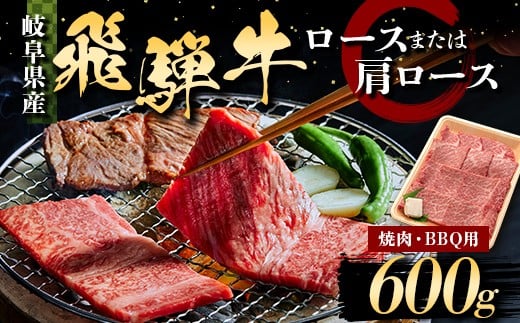 飛騨牛 焼肉用 ロース又はカタロース 600g 牛肉 ブランド牛 国産 BBQ F6M-313