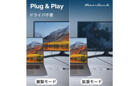 Hanx-Tech USBC DP1.2 変換アダプタ